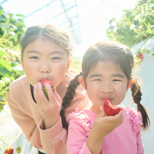 ICHIGO ICHIE いちごキッズ Mサイズ(約300g) 家族みんなで楽しめる、“やさしい甘さ”たっぷりのいちごパック。