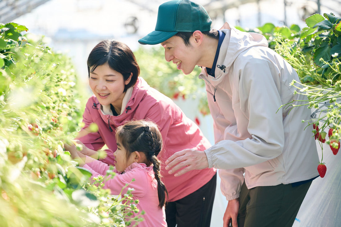 社会貢献の取り組み