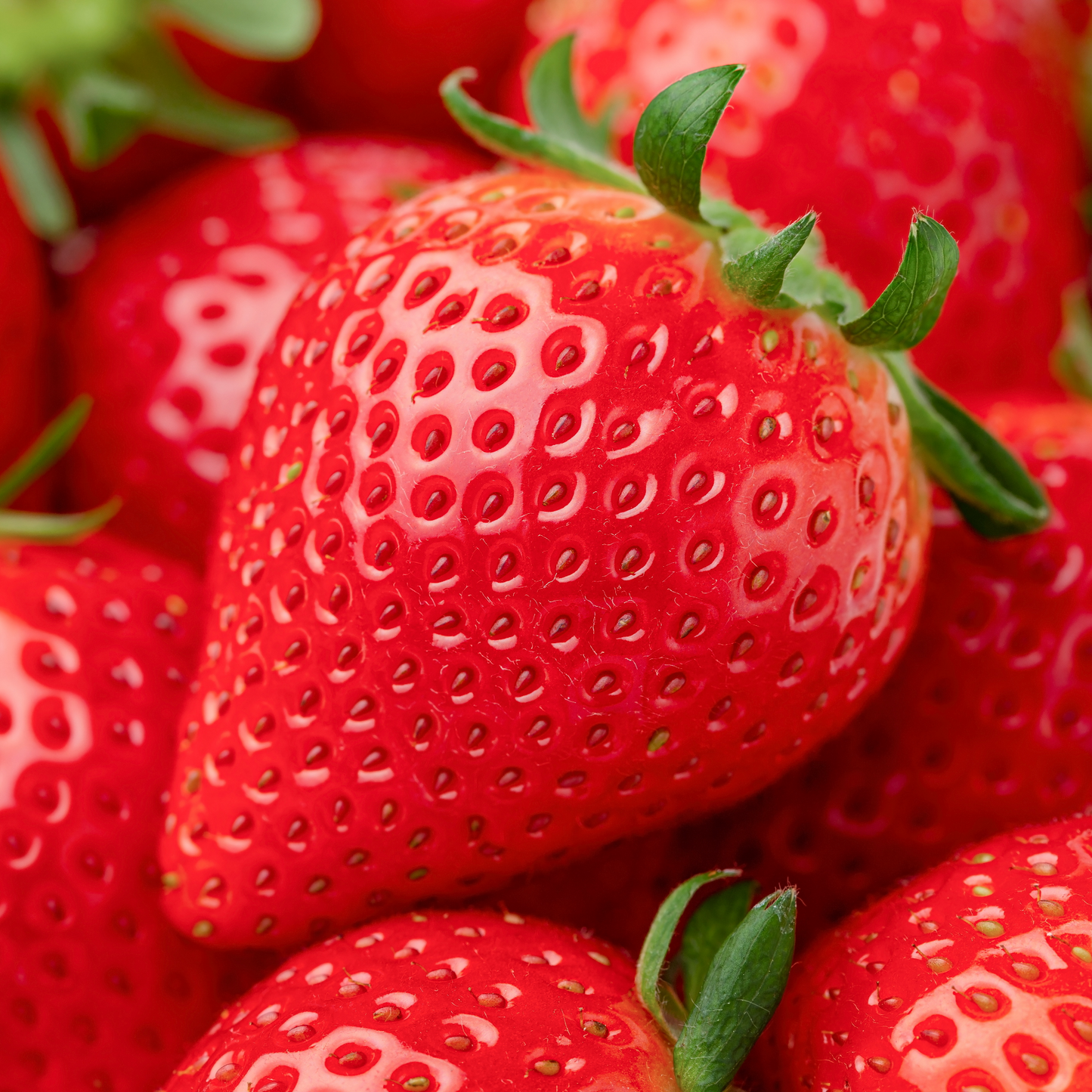 ICHIGO ICHIE プレミアムストロベリージャム〈果実ゴロッと150ml×2本セット〉