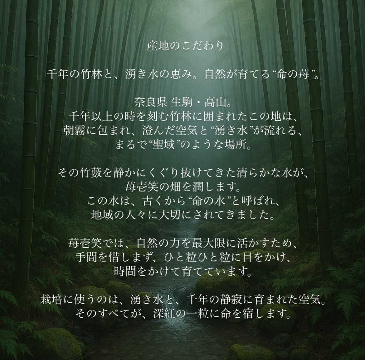 苺壱笑｜八角ギフトBOX プレミアム古都華（Mサイズ 約300g）　湧き水に育まれた深紅の果実を、墨色の箱にそっと包んで。