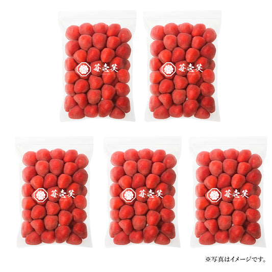 苺壱笑｜冷凍プレミアムいちご（約5kg／1kg × 5袋）　湧き水と千年の竹林が育てた命の果実を、たっぷり5kgそのまま瞬間凍結。