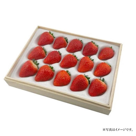 千年桐箱 ─ 高山の恵み ─
苺壱笑 古都華 プレミアム厳選詰め（約310g）　竹林と湧き水に育まれた、ひと粒に千年の想いを込めて。