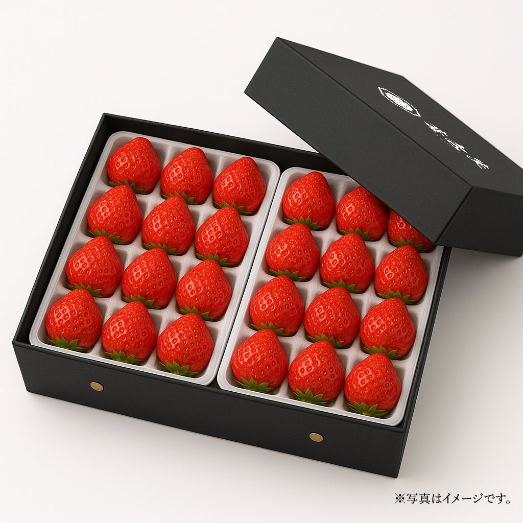 苺壱笑 古都華 プレミアム厳選詰め（約300g×2パック）　苺の“いちばん美味しい瞬間”を、ふた箱に込めて。