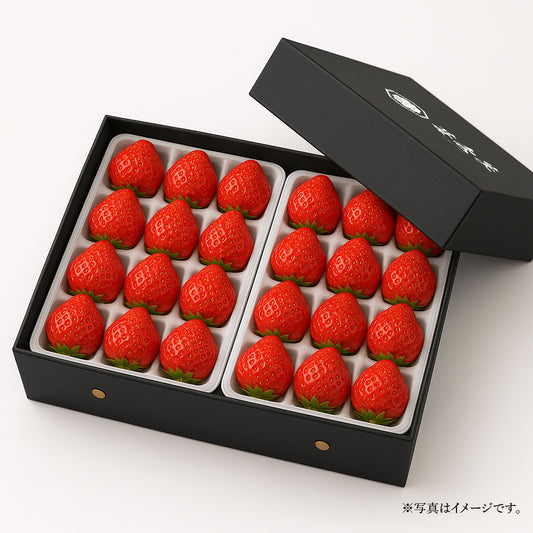 苺壱笑 古都華 プレミアム厳選詰め（約300g×2パック）　苺の“いちばん美味しい瞬間”を、ふた箱に込めて。